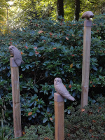 velduilen linker groep